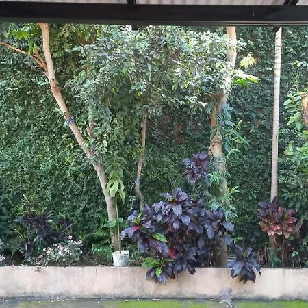 Dona Beti Apartment Puerto Iguazu Exterior photo